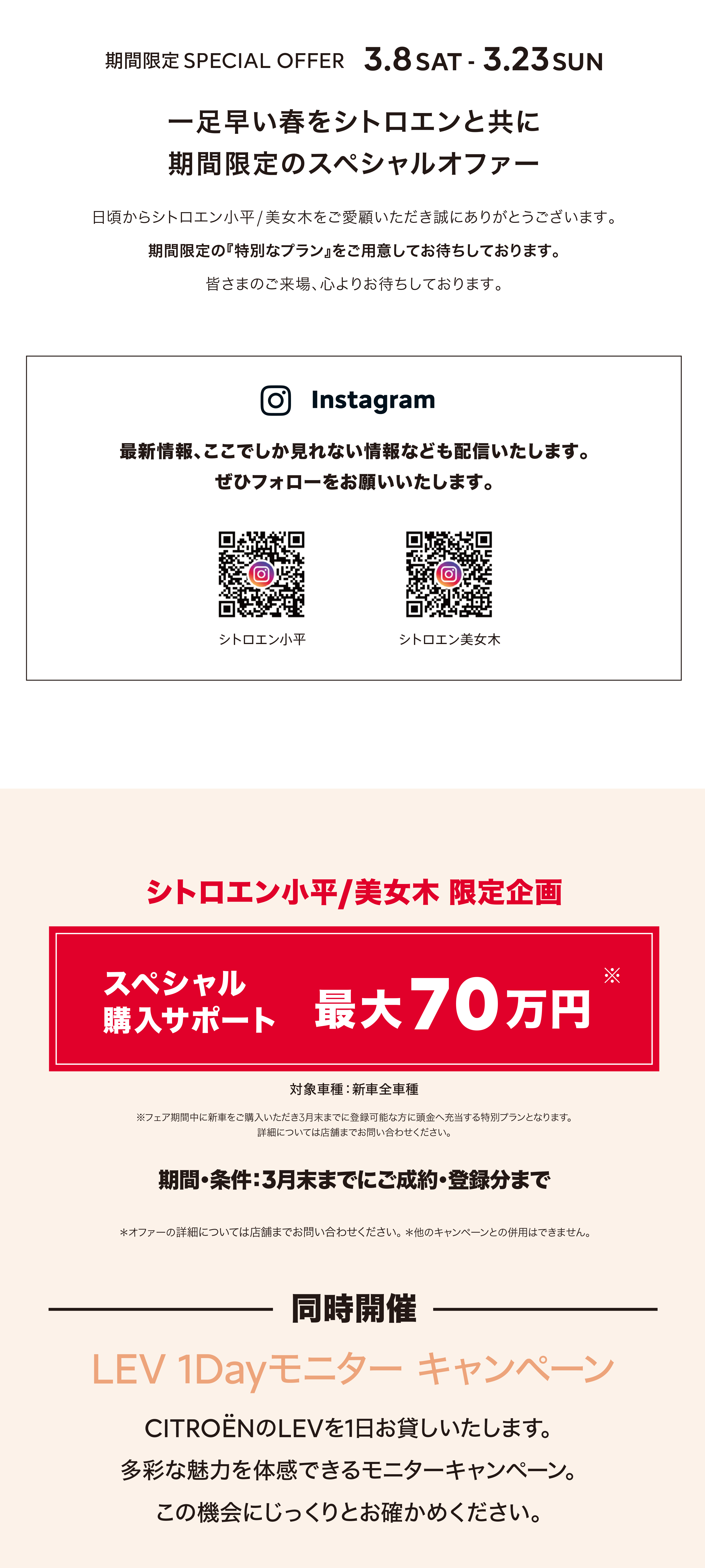 期間限定SPECIAL OFFER