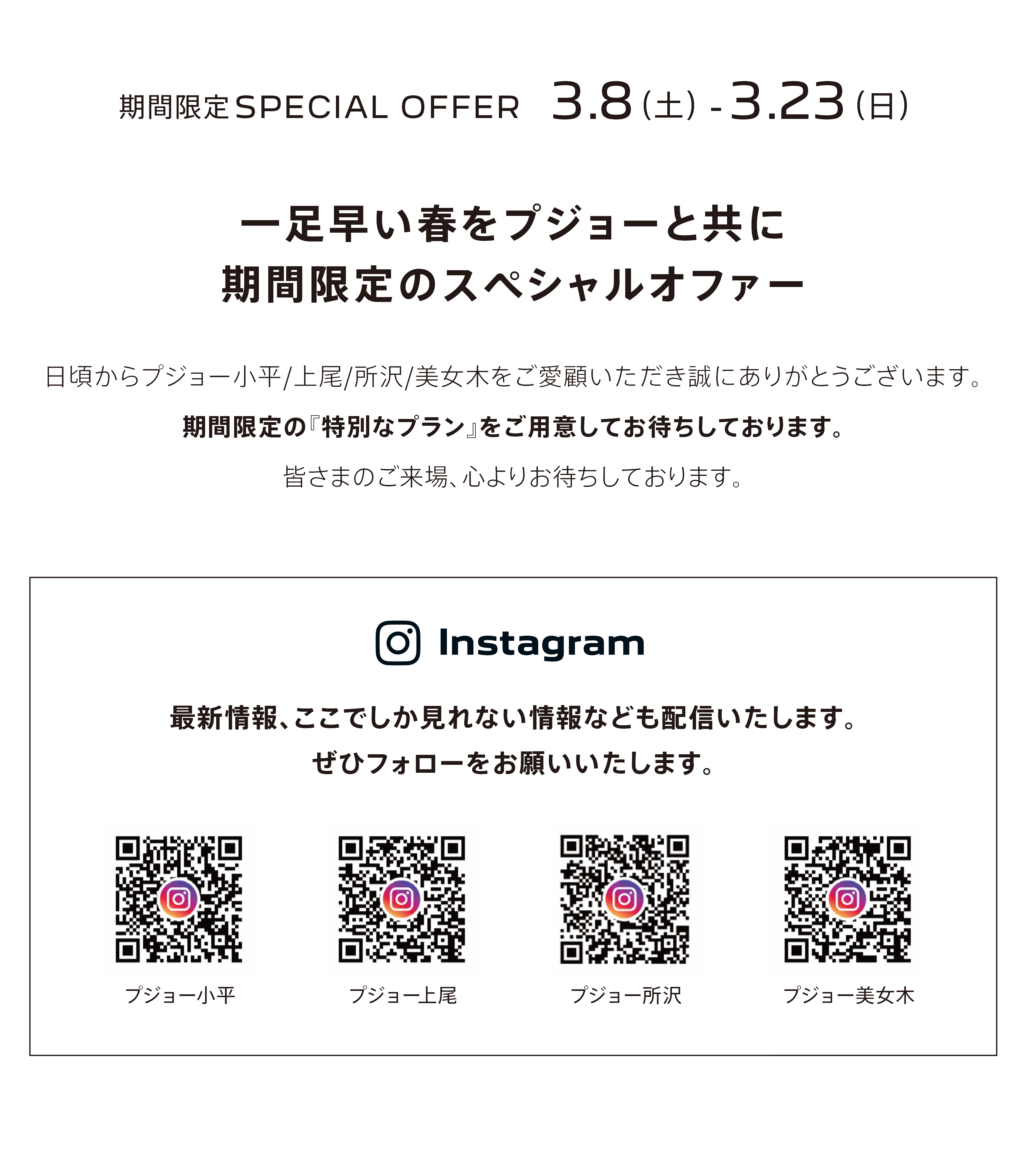 期間限定SPECIAL OFFER